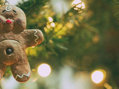 ornament photography of gingerbread holiday