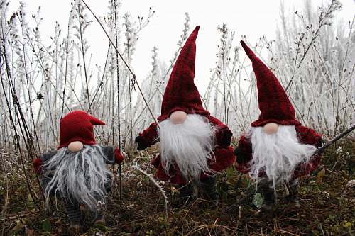 rooster Three Christmas Gnome on grass animal