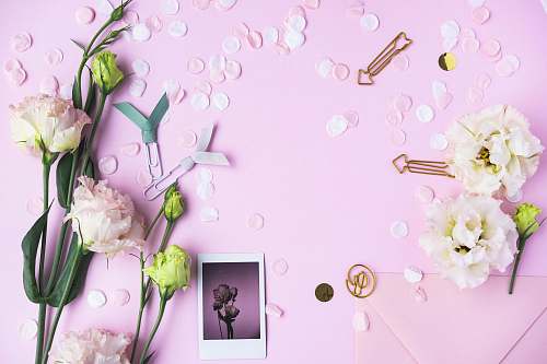 cream pink flowers creme
