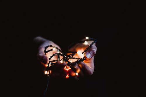 festive low-light photo of string light holidays