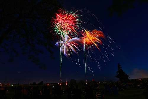 night assorted-color fireworks display during night time outdoors