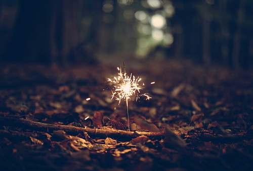 night firework in the woods outdoors