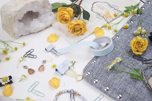 rose assorted items surrounded by flowes blossom