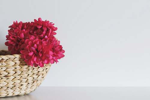 minimal pink petaled flower inside brown wicker basket basket