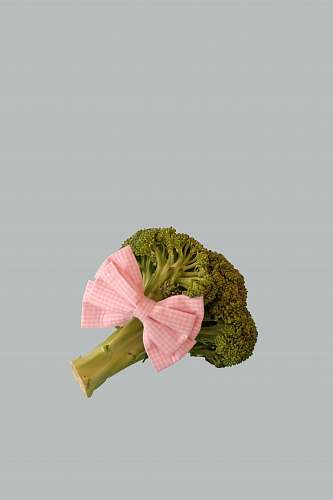 vegetable broccoli vegetable with pink ribbon broccoli
