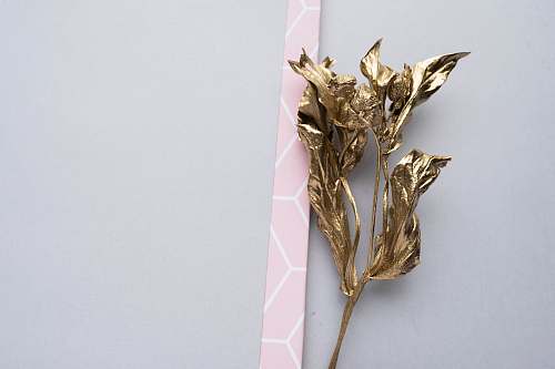 animal gold-colored leaves decor bird