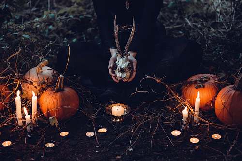 pumpkin person holding cattle skull surrounded by squash and candles vegetable