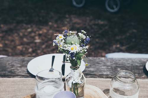 vase white and blue flowers in clear glass bottle glass