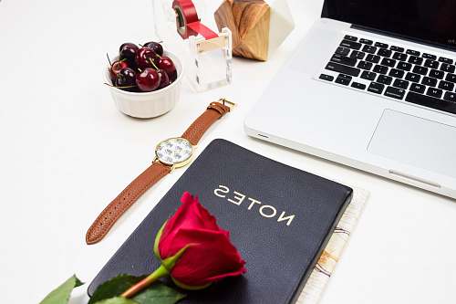 hardware red rose on notebook near MacBook computer keyboard