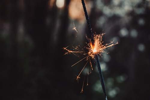 nature selective focus photography of spark outdoors