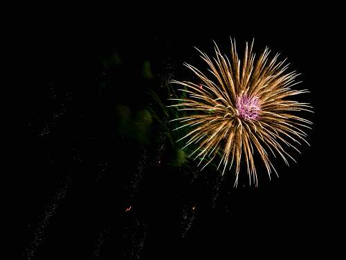 night timelapse photo of firework outdoors