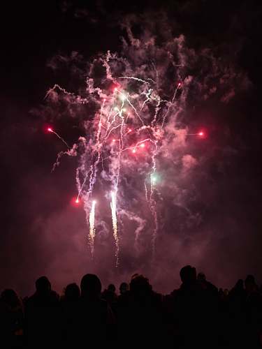 nature white and pink fireworks outdoors