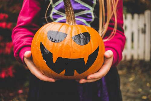 halloween selective focus photography of person holding pumpkin human
