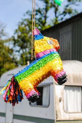 toy multicolored donkey pinata jar
