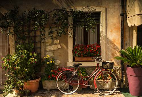 bike bicycle leaning on house bicycle