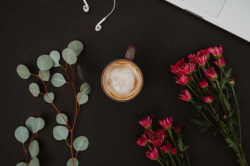 blossom brown ceramic mug beside pink-petaled flowers on black surface flower