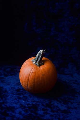 food round red pumpkin pumpkin