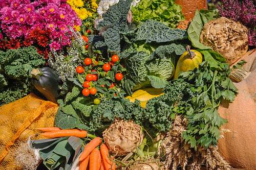 cabbage variety of vegetables vegetable
