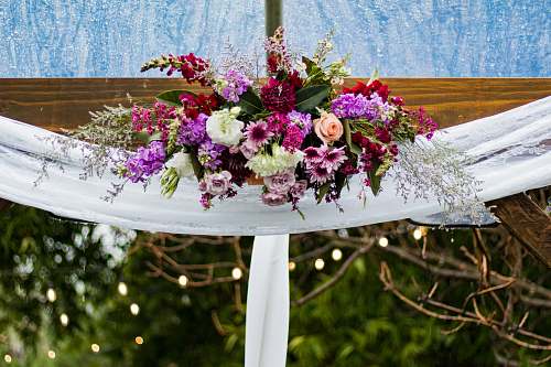 flora white, pink, and red petaled flowers decor jar