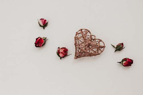 blossom brown heart decor and five rose flowers petal