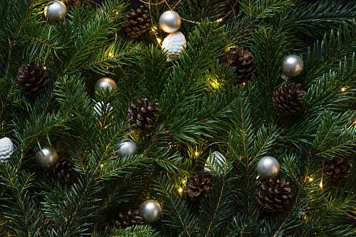 christmas closeup photo of Christmas tree with ornament and lighted lights holiday