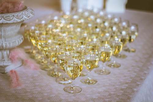 glass clear wine glass lot filled with yellow liquid wine