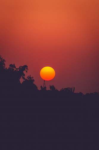 sunset silhouette photography of trees during golden hour outdoors