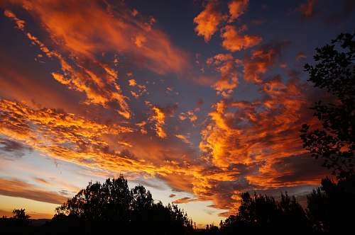 sky silhouette of trees during golden hour cloud