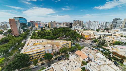 city aerial photography of city buildings urban