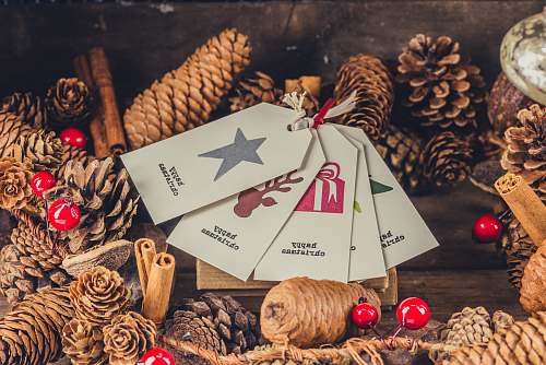 holiday brown pine cone collection on brown wooden board festive
