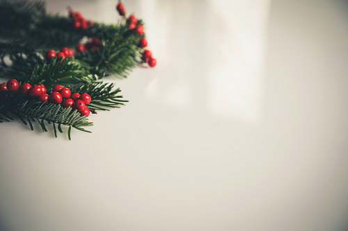 holiday closeup photography of green Christmas tree leaf ornament