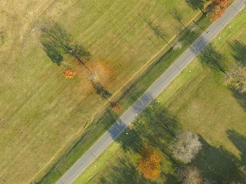 road empty road between trees near grass field at daytime lane