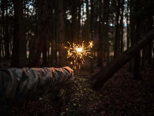 forest person holding sparkler at the middle of forest outdoors