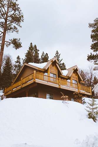building brown house covered and surrounded by snow cabin