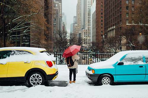 person person standing in between two cars umbrella