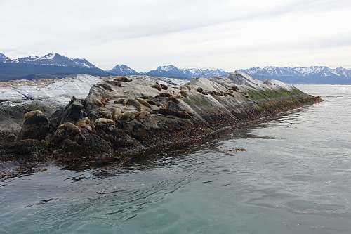 water landscape photography of boulder surrounded by body of water coast