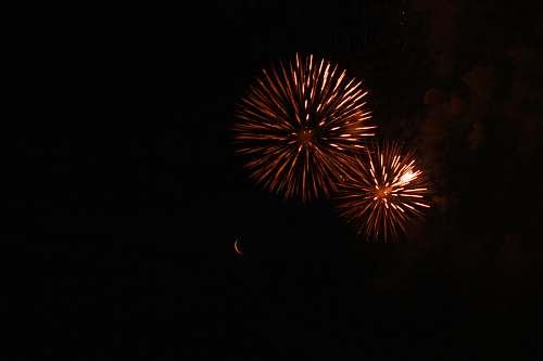 outdoors low-angle photography of red fireworks display night