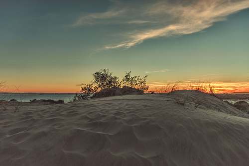 argentina open field near tree and body of water under cloudy sky at daytime sand