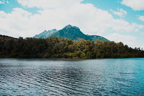 nature calm body of water near jungle during daytime water