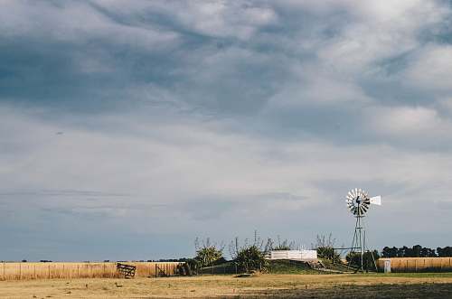 field white windmill on farm grassland