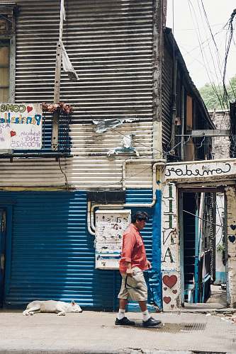 human man walking near lying dog and building person