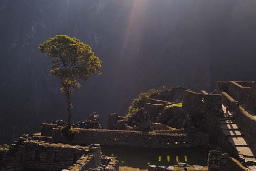 tree photo of person walking on pathway near mountain and trees sunlight