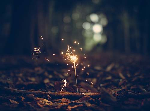 flora selective focus photography of sparklers weed