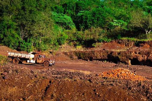 bulldozer white truck near green trees tractor