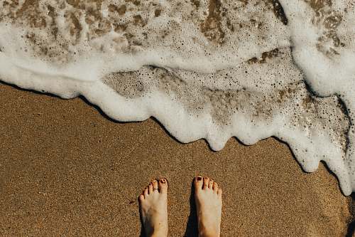 feet person's feet on seashore busan