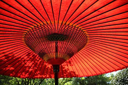 red red patio umbrella circular