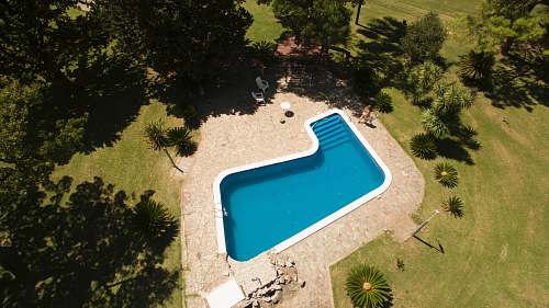 pool aerial photo of swimming pool with green leafed trees swimming pool