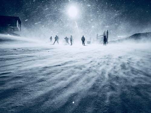 winter people walking during snow nature