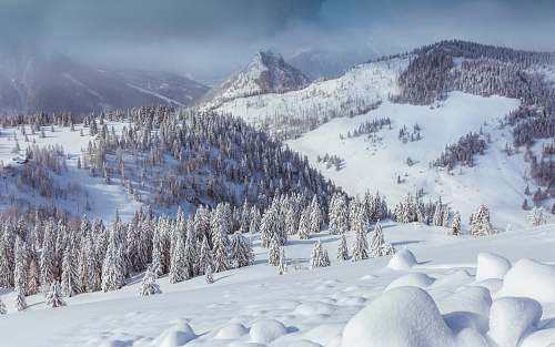 mountain snow-covered pine tree in mountain under cloudy sky nature