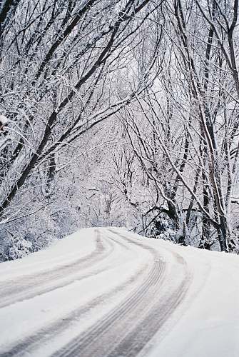 grey snow covered road between trees landscape